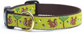 Up Country Nuts Pattern Dog Collar Medium (12 To 18 Inches) 1 Inch Wide Width