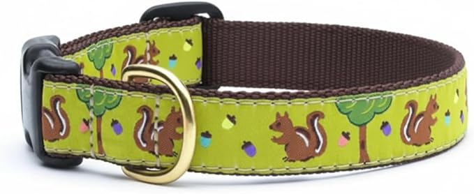 Up Country Nuts Pattern Dog Collar Medium (12 To 18 Inches) 1 Inch Wide Width