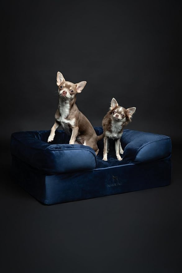NOAH &amp PAW Dog Bed 28x23x11 Inch Orthopedic Dog Beds for Medium Size Pets Eggshell Memory Foam Infused with Cooling Gel Inner Cover Waterproof Machine Washable (Velvet Sofa Collection)