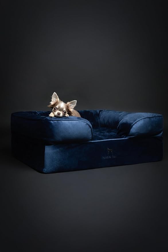 NOAH &amp PAW Dog Bed 28x23x11 Inch Orthopedic Dog Beds for Medium Size Pets Eggshell Memory Foam Infused with Cooling Gel Inner Cover Waterproof Machine Washable (Velvet Sofa Collection)