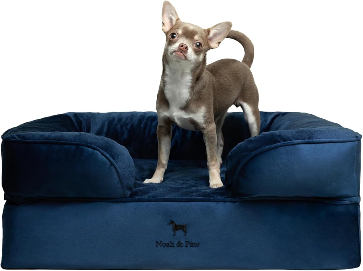 NOAH &amp PAW Dog Bed 28x23x11 Inch Orthopedic Dog Beds for Medium Size Pets Eggshell Memory Foam Infused with Cooling Gel Inner Cover Waterproof Machine Washable (Velvet Sofa Collection)