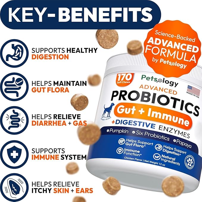 (2 Pack) Probiotics for Dogs - 340 Dog Probiotics Chews - Digestive Enzymes &amp Prebiotics - Support Gut Health Diarrhea Gas &amp Constipation Relief - Itchy Skin Allergies - Advanced Supplement