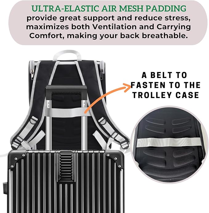 Lollimeow Cat Backpack Carrier Ideal for Small Animals &amp Puppies Airline ApprovedSafe for Travel Hiking Vet Transport &amp Outdoor Use Fully Ventilated Design for Ultimate Comfort On-The-Go