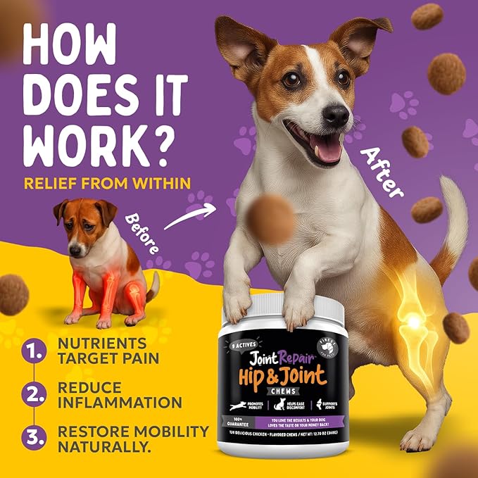 Finest For Pets Joint Repair Hip and Joint Chews for Dogs Glucosamine Chondroitin MSM Hemp Omega 3 &amp Turmeric for Dog Joint Support Mobility &amp Pain Relief - (120 Chicken Chews Made in US