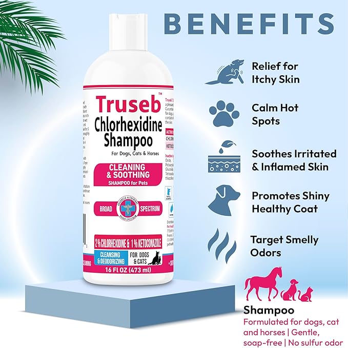 Truseb Topical Ketoconazole and Chlorhexidine Shampoo for Dogs Animals & Pet Supplies and Horses with Aloe - 16 oz (Ketoconazole &amp Chlorhexidine Shampoo 16 oz)