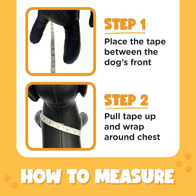 Bark Appeal Aqua Blue Step-in Dog Harness for Small-Medium Pets ? Updated Sizing Re-Measuring is Essential ? Soft Vest Harness ? Anti-Choke with Adjustable Strap &amp Heavy Duty Clip ? XXS