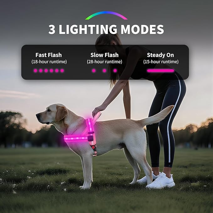 PetIsay LED Light Up Dog Harness - USB-C Rechargeable IPX7 Waterproof Reflective No Pull Dog Vest with Soft Padded Handle for Night Walking(Green S)