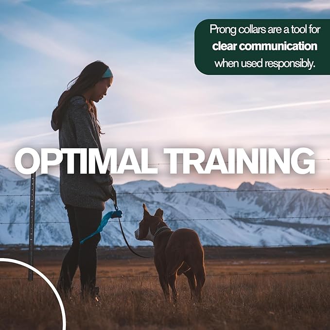 1.5mm Duro with Center Plate | Stainless Dog Training Collar for Small Breeds | 8'' Micro Prong Collar | Dogs 6-26lbs | No-Pull Collar | Behavior Aid