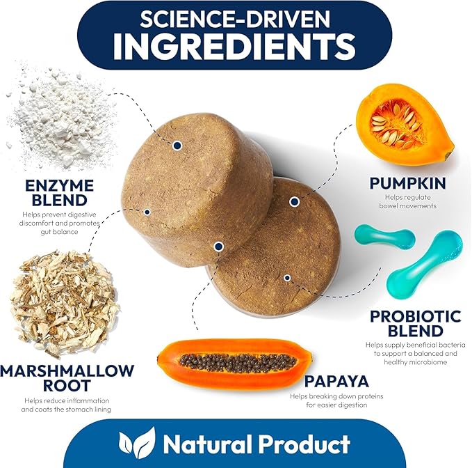 (2 Pack) Probiotics for Dogs - 340 Dog Probiotics Chews - Digestive Enzymes &amp Prebiotics - Support Gut Health Diarrhea Gas &amp Constipation Relief - Itchy Skin Allergies - Advanced Supplement