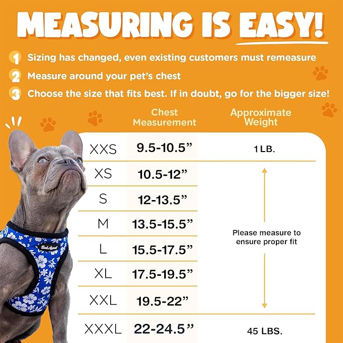 Bark Appeal Aqua Blue Step-in Dog Harness for Small-Medium Pets ? Updated Sizing Re-Measuring is Essential ? Soft Vest Harness ? Anti-Choke with Adjustable Strap &amp Heavy Duty Clip ? XXS