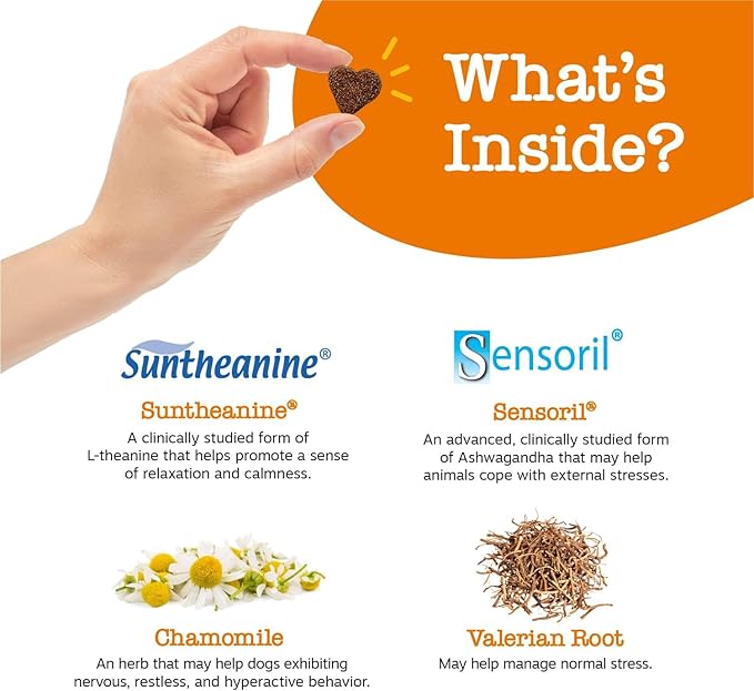 Zesty Paws Calming Chews for Dogs Composure &amp Relaxation for Everyday Stress &amp Separation Peanut Butter 90 Count