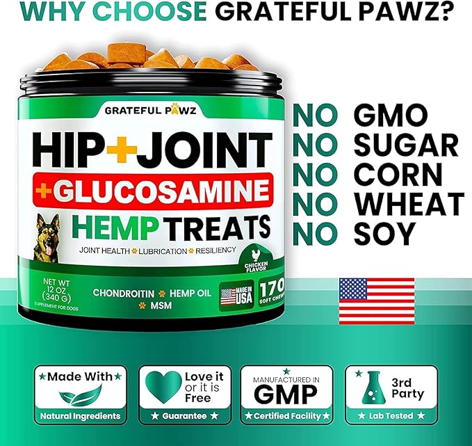 (2 Pack) Hemp Hip and Joint Supplement for Dogs - Glucosamine for Dogs - 340 Joint Pain Relief Treats - Chondroitin MSM Hemp Oil - Advanced Health Supplement - Mobility Support Chews - Made in USA