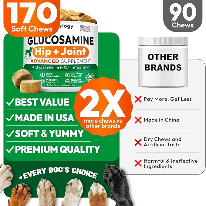 (2 Pack) Glucosamine for Dogs - 340 Mobility Chews - Advanced Hip and Joint Supplement for Dogs - Glucosamine Chondroitin - MSM - Joint Pain Relief - Made in USA
