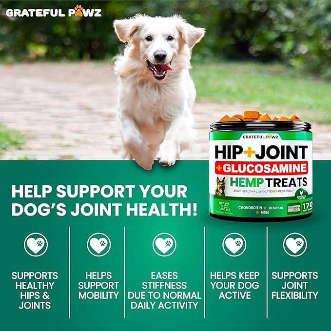 (2 Pack) Hemp Hip and Joint Supplement for Dogs - Glucosamine for Dogs - 340 Joint Pain Relief Treats - Chondroitin MSM Hemp Oil - Advanced Health Supplement - Mobility Support Chews - Made in USA