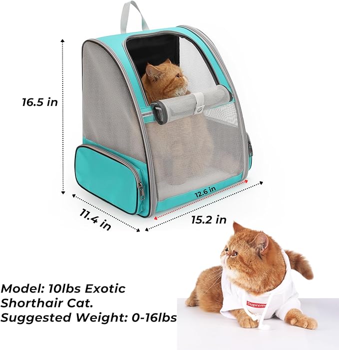 Lollimeow Cat Backpack Carrier Ideal for Small Animals &amp Puppies Airline ApprovedSafe for Travel Hiking Vet Transport &amp Outdoor Use Fully Ventilated Design for Ultimate Comfort On-The-Go