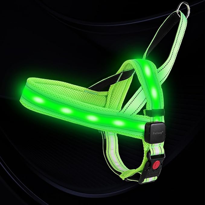 PetIsay LED Light Up Dog Harness - USB-C Rechargeable IPX7 Waterproof Reflective No Pull Dog Vest with Soft Padded Handle for Night Walking(Green S)