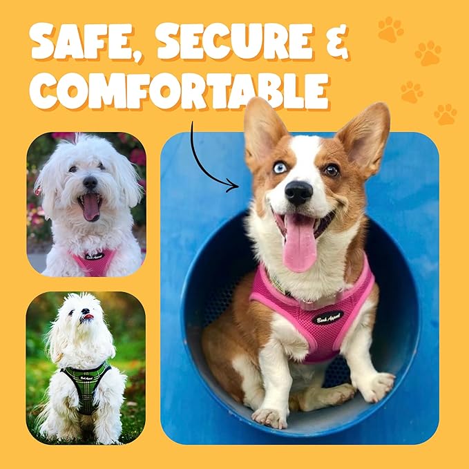 Bark Appeal Aqua Blue Step-in Dog Harness for Small-Medium Pets ? Updated Sizing Re-Measuring is Essential ? Soft Vest Harness ? Anti-Choke with Adjustable Strap &amp Heavy Duty Clip ? XXS