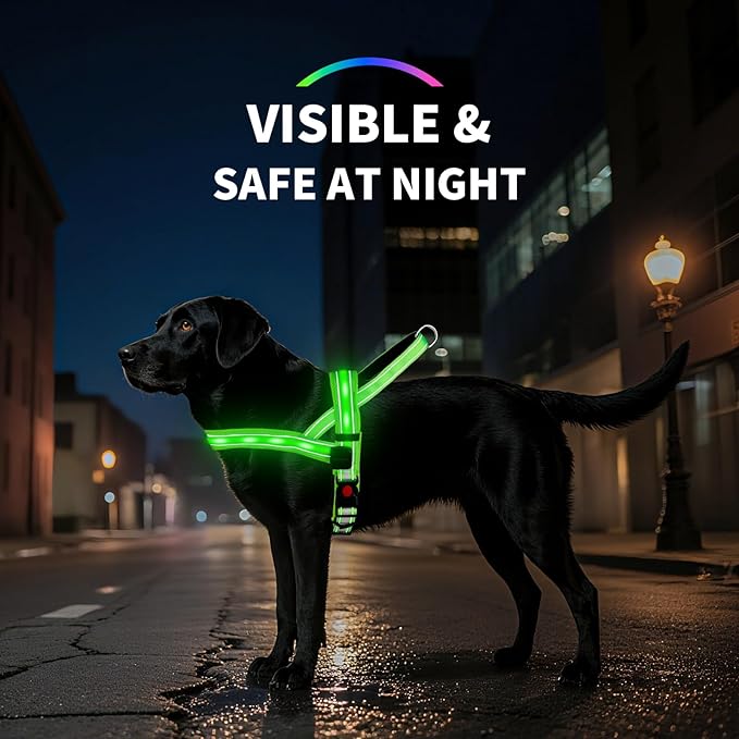 PetIsay LED Light Up Dog Harness - USB-C Rechargeable IPX7 Waterproof Reflective No Pull Dog Vest with Soft Padded Handle for Night Walking(Green S)