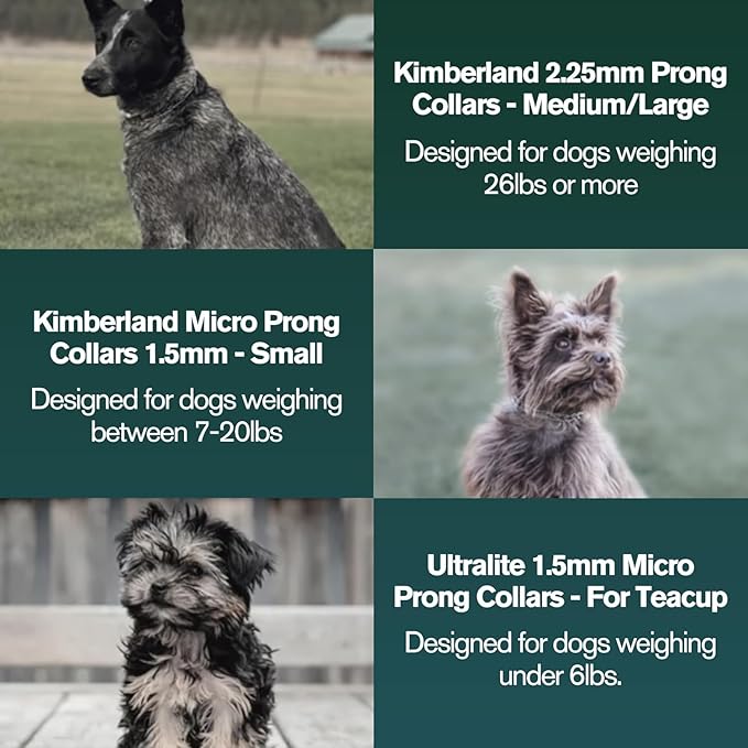 1.5mm Duro with Center Plate | Stainless Dog Training Collar for Small Breeds | 8'' Micro Prong Collar | Dogs 6-26lbs | No-Pull Collar | Behavior Aid