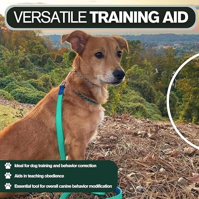 1.5mm Duro with Center Plate | Stainless Dog Training Collar for Small Breeds | 8'' Micro Prong Collar | Dogs 6-26lbs | No-Pull Collar | Behavior Aid