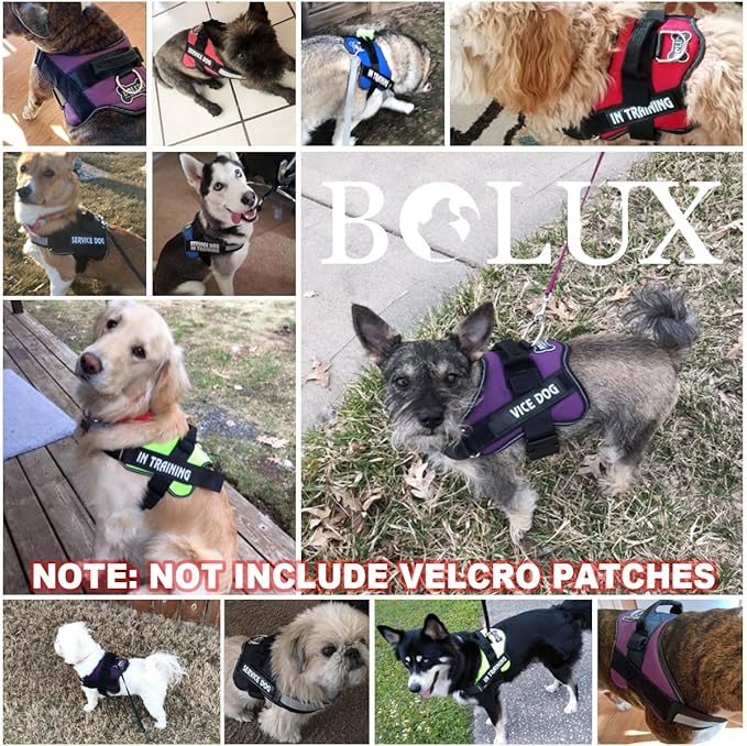 Bolux Dog Harness No-Pull Reflective Dog Vest Breathable Adjustable Pet Harness with Handle for Outdoor Walking - No More Pulling Tugging or Choking (Dark Green L)
