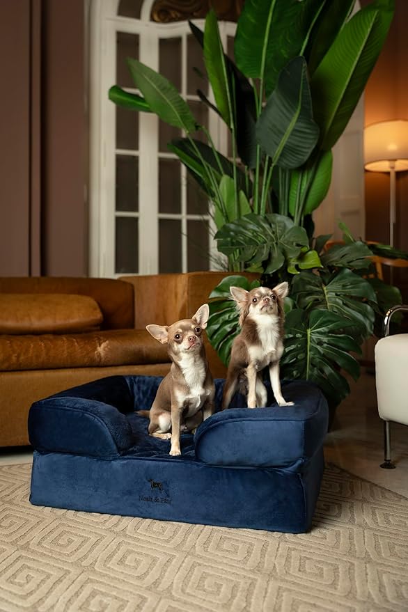 NOAH &amp PAW Dog Bed 28x23x11 Inch Orthopedic Dog Beds for Medium Size Pets Eggshell Memory Foam Infused with Cooling Gel Inner Cover Waterproof Machine Washable (Velvet Sofa Collection)