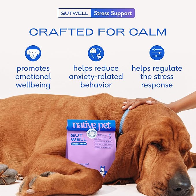 GutWell Stress Support - Dog Anxiety Relief &amp Calming Treats - Tasty Food Topper for Dog Stress and Anxiety Relief - Support Gut-Brain Axis with Triple-biotic Blend &amp Magnesium - 60 Scoops