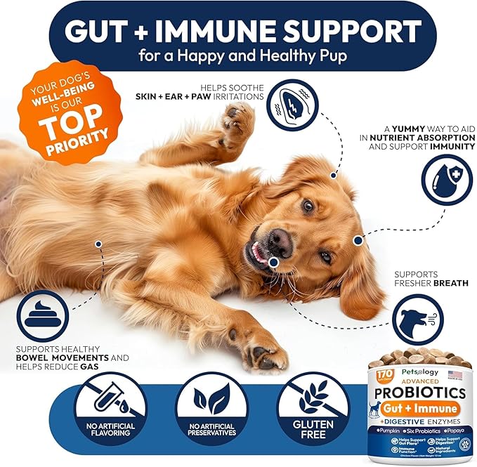 (2 Pack) Probiotics for Dogs - 340 Dog Probiotics Chews - Digestive Enzymes &amp Prebiotics - Support Gut Health Diarrhea Gas &amp Constipation Relief - Itchy Skin Allergies - Advanced Supplement