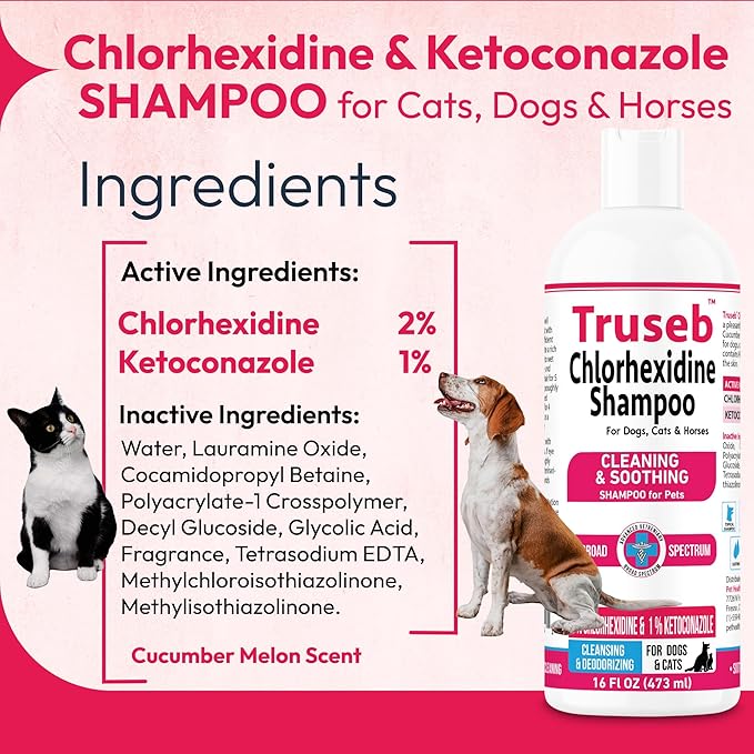 Truseb Topical Ketoconazole and Chlorhexidine Shampoo for Dogs Animals & Pet Supplies and Horses with Aloe - 16 oz (Ketoconazole &amp Chlorhexidine Shampoo 16 oz)