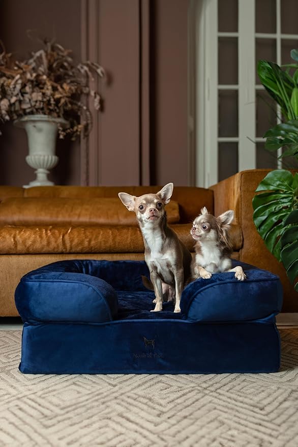 NOAH &amp PAW Dog Bed 28x23x11 Inch Orthopedic Dog Beds for Medium Size Pets Eggshell Memory Foam Infused with Cooling Gel Inner Cover Waterproof Machine Washable (Velvet Sofa Collection)