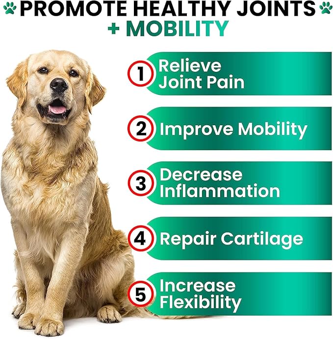 (2 Pack) Hemp Hip and Joint Supplement for Dogs - Glucosamine for Dogs - 340 Joint Pain Relief Treats - Chondroitin MSM Hemp Oil - Advanced Health Supplement - Mobility Support Chews - Made in USA