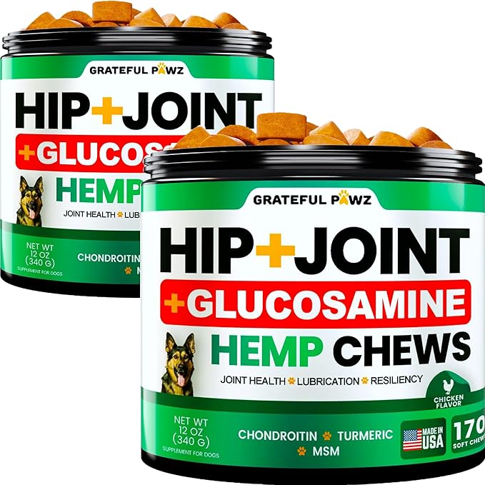 (2 Pack) Hemp Hip and Joint Supplement for Dogs - Glucosamine for Dogs - 340 Joint Pain Relief Treats - Chondroitin MSM Hemp Oil - Advanced Health Supplement - Mobility Support Chews - Made in USA