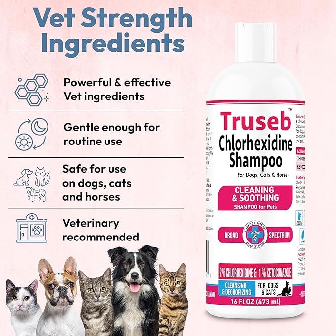 Truseb Topical Ketoconazole and Chlorhexidine Shampoo for Dogs Animals & Pet Supplies and Horses with Aloe - 16 oz (Ketoconazole &amp Chlorhexidine Shampoo 16 oz)