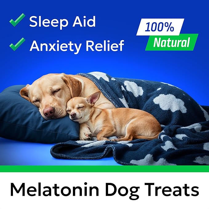(MAX Strength) Melatonin for Dogs to Sleep &amp Anxiety Aid - Medium &amp Small Breeds - 6mg Doggie Sleeping Pills - 120 Treats