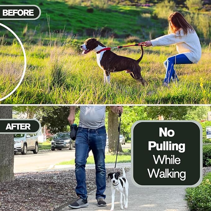 1.5mm Duro with Center Plate | Stainless Dog Training Collar for Small Breeds | 8'' Micro Prong Collar | Dogs 6-26lbs | No-Pull Collar | Behavior Aid