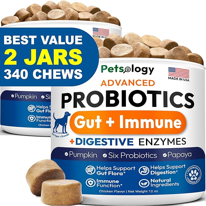 (2 Pack) Probiotics for Dogs - 340 Dog Probiotics Chews - Digestive Enzymes &amp Prebiotics - Support Gut Health Diarrhea Gas &amp Constipation Relief - Itchy Skin Allergies - Advanced Supplement